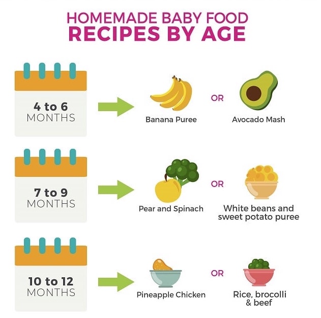 Homemade Baby Food Recipes For 4 12 Months